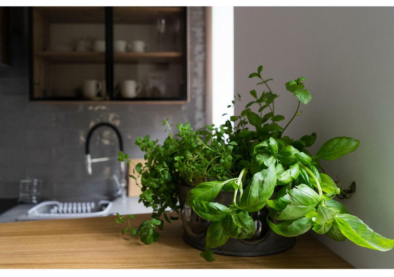 Gostynin Garden Apartment מראה חיצוני תמונה